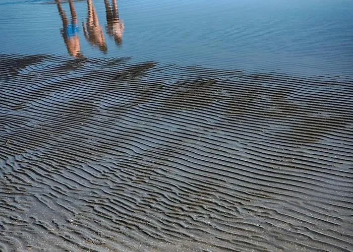 Dei Fiori 2* Bellaria-Igea Marina